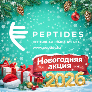Новогодняя распродажа 2026 Новогодняя распродажа 2026